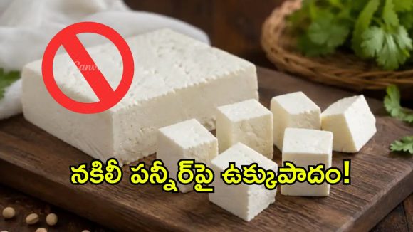 నకిలీ పన్నీర్‌ దందాకు సర్కార్ చెక్.. ఏడాది పాటు అనలాగ్ పన్నీర్‌పై నిషేధం!