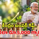 కేంద్రం అదిరిపోయే స్కీమ్.. రూ. 210తో జీవితాంతం రూ. 5,000 పెన్షన్.. మధ్యతరగతికి పండగే!