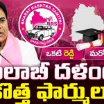 ఒకటి రెడ్డి.. మరొకటి బీసీ.. బీఆర్ఎస్ ఎమ్మెల్సీ వ్యూహం ఫలించేనా?