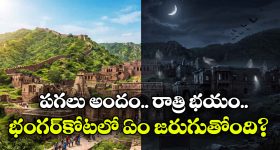 నన్ను మోసం చేశాడు!.. మేనల్లుడిపై బొత్స సెంటిమెంట్ అస్త్రం.. వర్కవుట్ అవుతుందా?