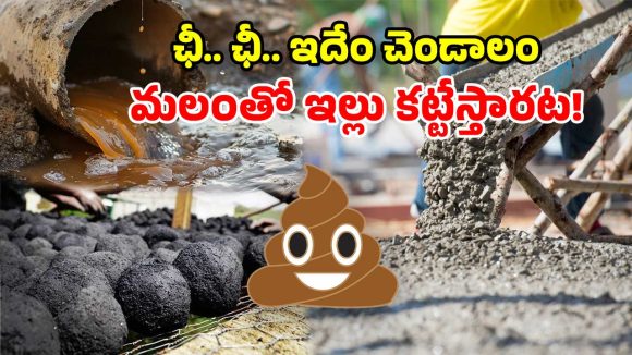 మానవ వ్యర్థాలతో.. అత్యంత బలమైన కాంక్రీట్‌.. శాస్త్రవేత్తల నెవర్ బిఫోర్ ప్రయోగం!