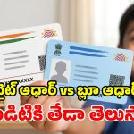 తెల్లటి ఆధార్ తెలుసు.. మరి ఈ ‘బ్లూ ఆధార్’ కథేంటి? దీని వల్ల ఎవరికి బెనిఫిట్?