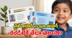 కొత్త కారు కొనాలనుకుంటున్నారా? అక్టోబర్‌లో ఎంట్రీ ఇవ్వబోతున్న 11 క్రేజీ కార్లు ఇవే!