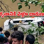 మధ్యప్రదేశ్‌లో ఘోర ప్రమాదం.. జలపాతంలోకి దూసుకెళ్లిన కారు, 8 మంది మృతి