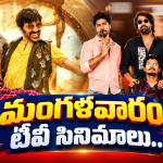 Telugu TV Serials: ఈ వారం సీరియల్స్ టీఆర్పీ రేటింగ్.. ఆ రెండు సీరియల్స్ అవుట్..