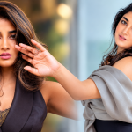 డింపుల్ హయతి నెలకు అంత సంపాదిస్తుందా..? సినిమాల కన్నా ఎక్కువే..
