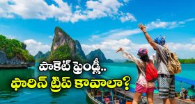 డిజాస్టర్ హీరోయిన్ తో మోక్షజ్ఞ డెబ్యూ మూవీ... సాహసం చేస్తున్న నందమూరి హీరో?