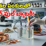 పీతల పెంకులతో బ్యాటరీనా? శాస్త్రవేత్తల ప్రయోగం చూస్తే.. మైండ్ బ్లాక్ అవ్వాల్సిందే!