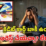 క్రెడిట్ కార్డ్ బిల్లు కట్టకపోతే.. జైలులో పెడతారా? చట్టం ఏం చెబుతోంది?