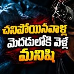ఫ్యామిలీ మిస్టరీ సాల్వ్ చేయడానికి బ్రెయిన్ సైంటిస్ట్ ప్రయోగం… అంతలోనే సీన్ రివర్స్… ఓటీటీలో డిఫరెంట్ కొరియన్ సై-ఫై థ్రిల్లర్