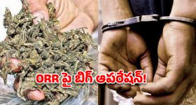 సోషల్ మీడియా దెబ్బకు దిగివచ్చిన అను ఇమ్మాన్యుయేల్.. ?