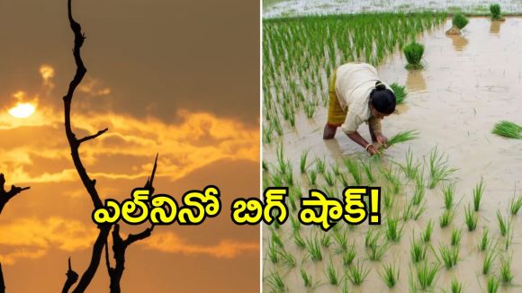 ఖమ్మం జిల్లాలో ఎల్‌నినో ఎఫెక్ట్.. పంట మార్చినా రైతన్నకు తప్పని కన్నీళ్లు!