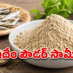 చిన్న చేపలతో పెద్ద మేలు.. మత్స్యశాఖ తెస్తున్న ఈ స్పెషల్ పౌడర్ ప్రత్యేకత ఏంటో తెలుసా?