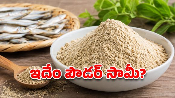 చిన్న చేపలతో పెద్ద మేలు.. మత్స్యశాఖ తెస్తున్న ఈ స్పెషల్ పౌడర్ ప్రత్యేకత ఏంటో తెలుసా?