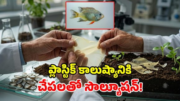 శాస్త్రవేత్తల సంచలనం.. చేపల పొలుసులతో సరికొత్త ప్లాస్టిక్.. మట్టిలో వేస్తే 8 వారాల్లోనే మాయం!