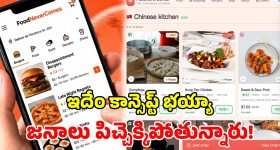పైసా ఖర్చు లేకుండా.. ఫుడ్ ఆర్డర్ చేసే కిక్.. ఇంటర్నెట్‌ను ఊపేస్తున్న వింత వెబ్ సైట్!