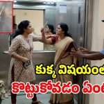 కుక్క పెట్టిన చిచ్చు.. లిఫ్ట్‌లో పొట్టు పొట్టు కొట్టుకున్న మహిళలు.. వీడియో వైరల్!