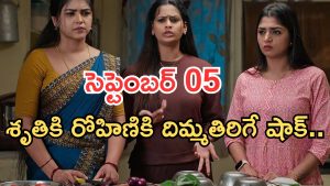 Gundeninda GudiGantalu Today episode: రోహిణికి దిమ్మతిరిగే షాక్.. శృతి దెబ్బ అదుర్స్.. రోహిణి మాస్టర్ ప్లాన్ ..?