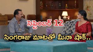 Gundeninda GudiGantalu Today episode: మీనాకు దిమ్మతిరిగే షాక్.. సింగరాజు మాటతో ఫ్యూజుల్ అవుట్..