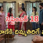 Gundeninda GudiGantalu Today episode: రోహిణికి దిమ్మతిరిగే షాక్.. మీనా స్ట్రాంగ్ వార్నింగ్.. ఇదేం ట్విస్ట్ రా అయ్యా..