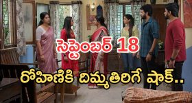 మెల్‌బోర్న్‌లో ఘోర రోడ్డు ప్రమాదం.. విశాఖకు చెందిన ఇద్దరు మహిళలు మృతి, షాకింగ్ ఫుటేజ్ వెలుగులోకి