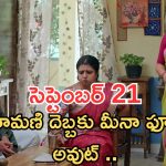 Gundeninda GudiGantalu Today episode: ప్రభా దెబ్బకు రోహిణి ఫ్యూజుల్ అవుట్.. మీనా మాటతో షాక్.. అయ్యో పాపం మీనా..