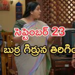 Gundeninda GudiGantalu Today episode: మనోజ్ కు మైండ్ బ్లాక్.. పార్వతి మాటతో షాక్.. పాపం ప్రభా..