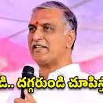 సిద్దిపేటకు రండి.. కడుపునిండా అన్నం పెట్టి నా భూములు చూపిస్తా: హరీశ్ రావు ఆఫర్!