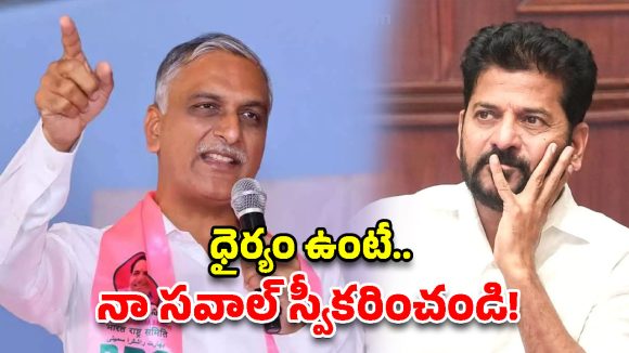నా భూమిలో చిన్న తప్పున్నా 13 ఎకరాలు రాసిచ్చేస్తా!  సీఎం రేవంత్‌కు హరీశ్ రావు సవాల్