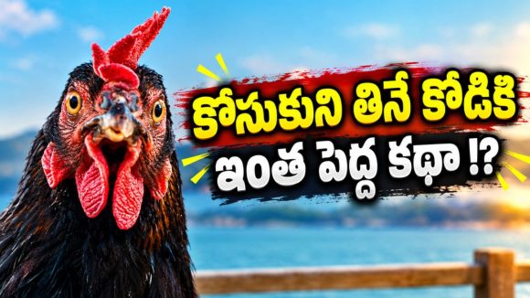 కోడి చుట్టూ తిరిగే కథ… చివర్లో వచ్చే ట్విస్ట్ ఊహించడం కష్టం… తెలుగులోనే స్ట్రీమింగ్
