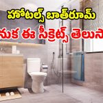 రూమ్ ఫ్రెష్‌నర్స్ లేకున్నా.. హోటల్ బాత్‌రూమ్స్ చాలా ఫ్రెష్‌.. దీని వెనుక రహస్యం ఇదే!