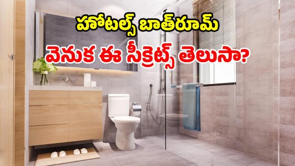 రూమ్ ఫ్రెష్‌నర్స్ లేకున్నా.. హోటల్ బాత్‌రూమ్స్ చాలా ఫ్రెష్‌.. దీని వెనుక రహస్యం ఇదే!
