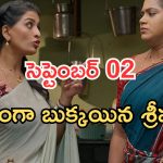 Illu Illalu Pillalu Today Episodes: నిజం చెప్పిన అమూల్య.. తిరుపతి ఎమోషనల్.. నిజం చెప్పిన వేదవతి..