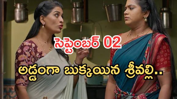 Illu Illalu Pillalu Today Episodes: నిజం చెప్పిన అమూల్య.. తిరుపతి ఎమోషనల్.. నిజం చెప్పిన వేదవతి..