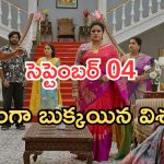 Illu Illalu Pillalu Today Episodes: శ్రీవల్లి మాటతో నర్మద షాక్.. విశ్వంకు భద్ర వార్నింగ్.. కన్నీళ్లు పెట్టుకున్న వేదవతి..