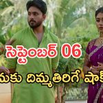 Illu Illalu Pillalu Today Episodes: అయ్యో ప్రేమ.. వల్లి మళ్లీ పుల్లేట్టేసింది.. ప్రేమ మారుతుందా..?