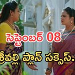Illu Illalu Pillalu Today Episodes: శ్రీవల్లికి భద్ర వార్నింగ్.. భాగ్యం ప్లాన్ సక్సెస్.. మళ్లీ తప్పించుకున్న శ్రీవల్లి..