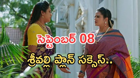 Illu Illalu Pillalu Today Episodes: శ్రీవల్లికి భద్ర వార్నింగ్.. భాగ్యం ప్లాన్ సక్సెస్.. మళ్లీ తప్పించుకున్న శ్రీవల్లి..