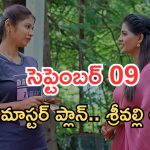 Illu Illalu Pillalu Today Episodes: ధీరజ్ దెబ్బకు షాక్.. ప్రేమ పై నర్మద సెటైర్.. శ్రీవల్లికి దిమ్మతిరిగే ట్విస్ట్..