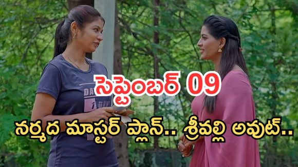 Illu Illalu Pillalu Today Episodes: ధీరజ్ దెబ్బకు షాక్.. ప్రేమ పై నర్మద సెటైర్.. శ్రీవల్లికి దిమ్మతిరిగే ట్విస్ట్..