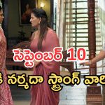 Illu Illalu Pillalu Today Episodes: అయ్యో తిరుపతి.. ధీరజ్ ను తిట్టిన రామరాజు.. వల్లికి స్ట్రాంగ్ వార్నింగ్..