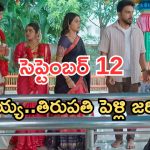 Illu Illalu Pillalu Today Episodes: ఎంగేజ్మెంట్ క్యాన్సిల్.. తిరుపతి పెళ్లి అయిపోయిందోచ్.. వేదవతి షాక్..