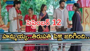 Illu Illalu Pillalu Today Episodes: ఎంగేజ్మెంట్ క్యాన్సిల్.. తిరుపతి పెళ్లి అయిపోయిందోచ్.. వేదవతి షాక్..