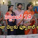 Illu Illalu Pillalu Today Episodes: వేదవతికి భద్ర వార్నింగ్.. ధీరజ్ కు మైండ్ బ్లాక్.. రామరాజు మాటతో ఫ్యూజుల్ అవుట్..