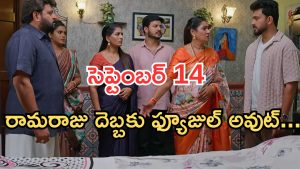 Illu Illalu Pillalu Today Episodes: వేదవతికి భద్ర వార్నింగ్.. ధీరజ్ కు మైండ్ బ్లాక్.. రామరాజు మాటతో ఫ్యూజుల్ అవుట్..