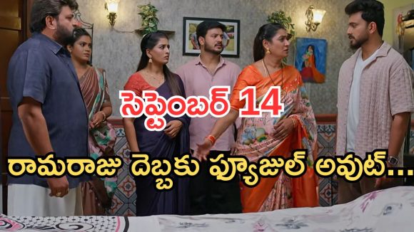 Illu Illalu Pillalu Today Episodes: వేదవతికి భద్ర వార్నింగ్.. ధీరజ్ కు మైండ్ బ్లాక్.. రామరాజు మాటతో ఫ్యూజుల్ అవుట్..