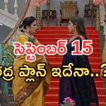 Illu Illalu Pillalu Today Episodes: ప్రేమకు దిమ్మతిరిగే షాక్.. మాటిచ్చిన ప్రేమ.. తిరుపతి ఎంట్రీతో భాగ్యంకు షాక్..