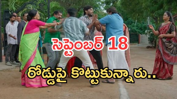 Illu Illalu Pillalu Today Episodes: భద్ర ప్లాన్ సక్సెస్.. వల్లి ఫుల్ హ్యాపీ.. పోలీస్ స్టేషన్ లో రచ్చ రచ్చ..