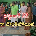 Illu Illalu Pillalu Today Episodes: ప్రేమ ఎమోషనల్.. నర్మదకు దొరికిపోయిన వల్లి.. పాపం వల్లికి షాక్..