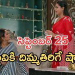 Intinti Ramayanam Today Episode: ఆరాధ్య కోసం అవని టెన్షన్.. పల్లవికి షాక్.. ఇది కదా అసలు ట్విస్ట్..